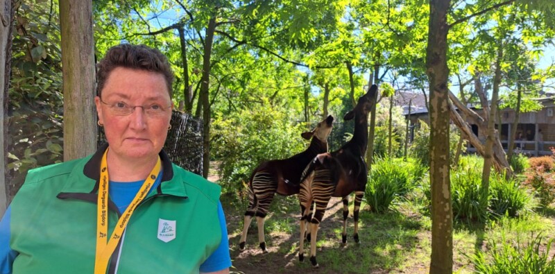 “Mijn favoriete dier is de otter”